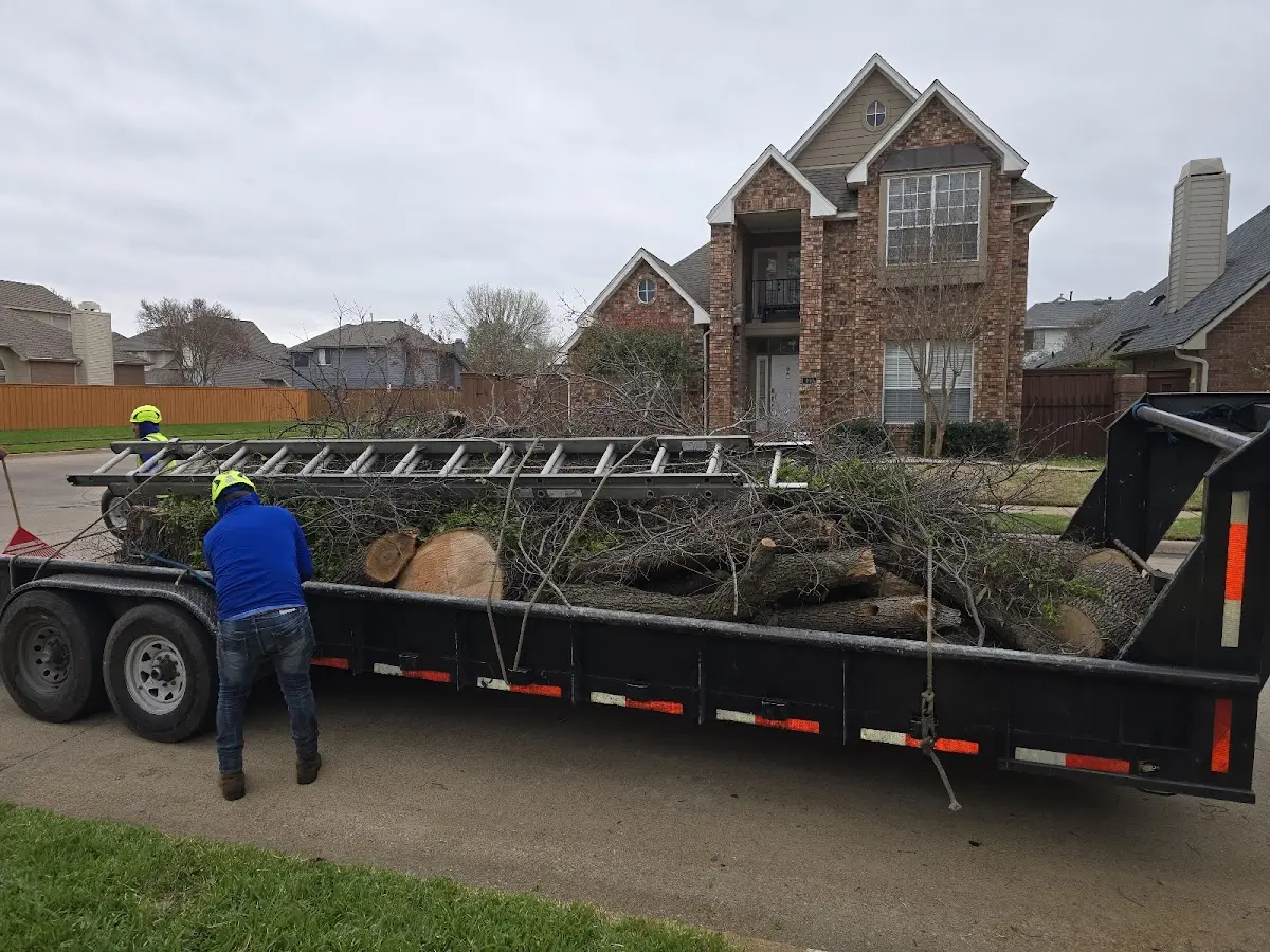 Expert Crown Reduction with proper safety equipment in Eau Claire